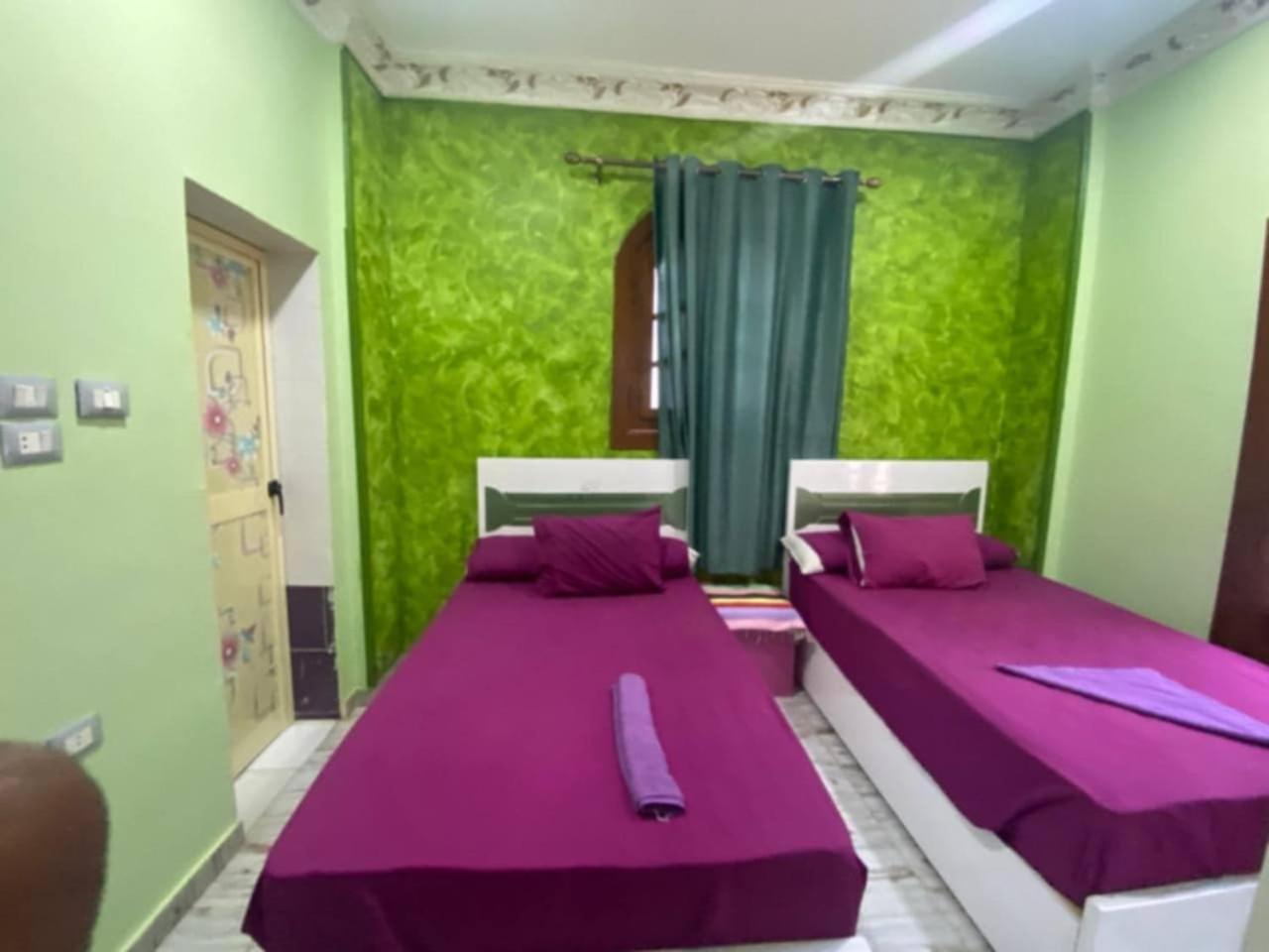 Sunrise Shiny Nubian Guest House Asuán Exterior foto